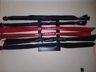 Carrete de pesca Iridium+ 2 cañas daiwa proteus hi