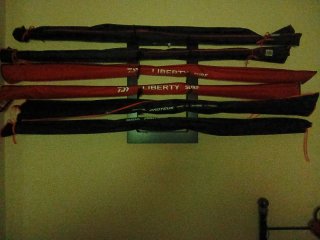 Carrete de pesca Iridium+ 2 cañas daiwa proteus hi