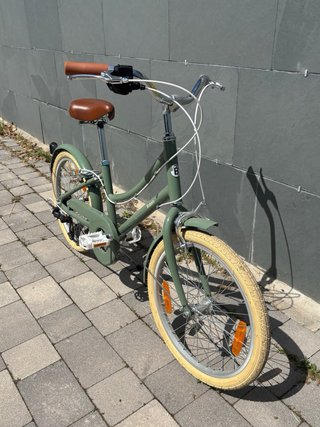 Bicicleta Bobbin Brownie JR 20 Ed. Limitada