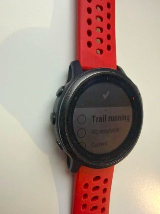 Reloj Garmin fénix 6s pro