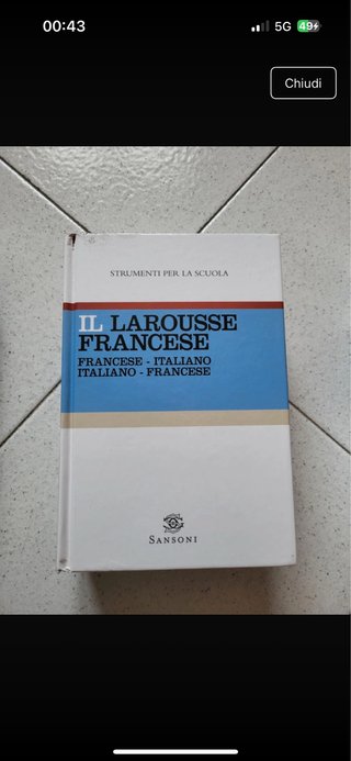 Dizionario francese