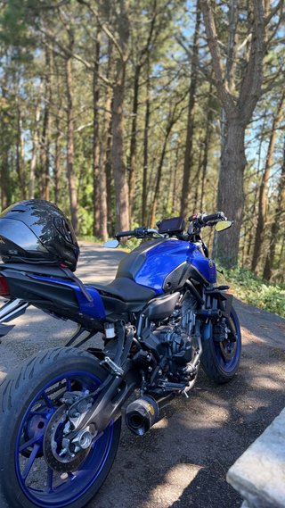 Yamaha MT-07 (A2) 2024