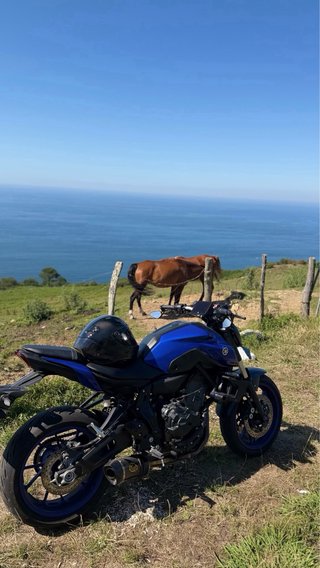 Yamaha MT-07 (A2) 2024