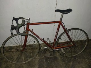 Bicicleta Zeleris Roja