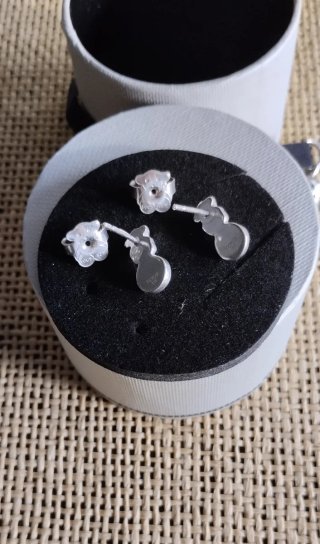 Pendientes Tous Plata con  Piedra + caja original
