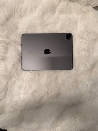 iPad Pro 11 3ª Gen Argento
