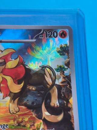 Pyroar 200/193 PAL NM Inglés