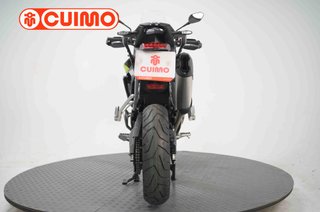 TRIUMPH TIGER 900 RALLY PRO