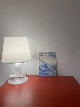 Pintura original Cotorra de Madrid