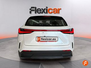 Lexus NX 350h Business City 4WD