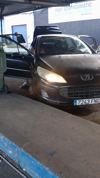 Peugeot 407 2008