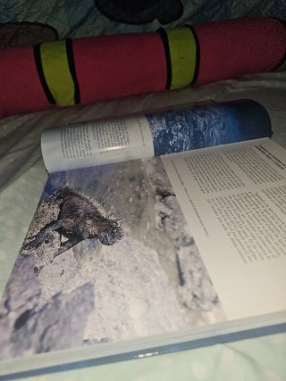 Libro de la vida marina