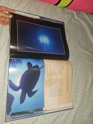 Libro de la vida marina
