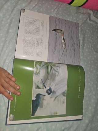 Libro de la vida marina