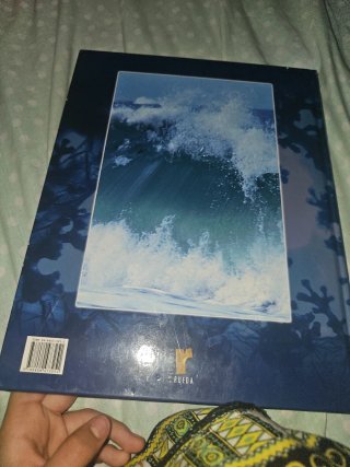 EL MUNDO SUBMARINO