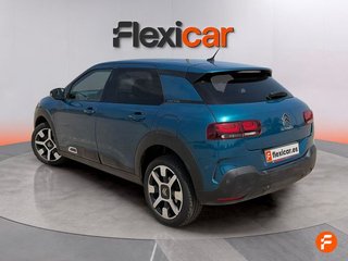 Citroën C4 Cactus PureTech 96kW (130CV) S&S Shine