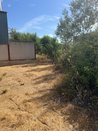 Terreno industrial