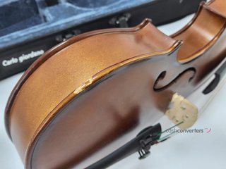 violin carlo giordano vs-0 3/4