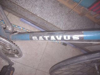 Bicicleta de carretera Batavus