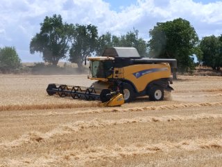 Cosechadora New Holland CX8070