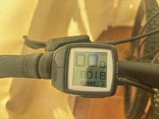 Bici Trek Powerfly 5 Talla L 29"