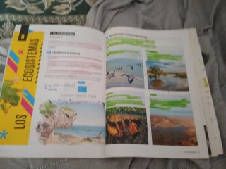 Proyecto: FanFest - Biología y Geología 1 ESO