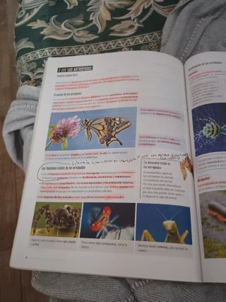 Proyecto: FanFest - Biología y Geología 1 ESO