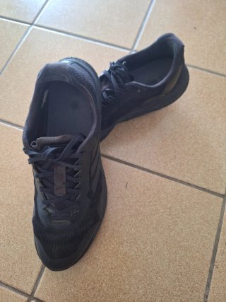Adidas Terrex agravic Flow 2 Color Negro Talla 45