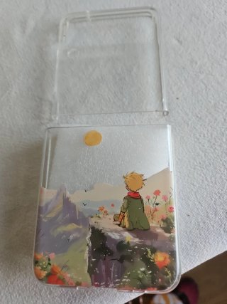 Funda Samsung Galaxy Z Flip 3 El Principito