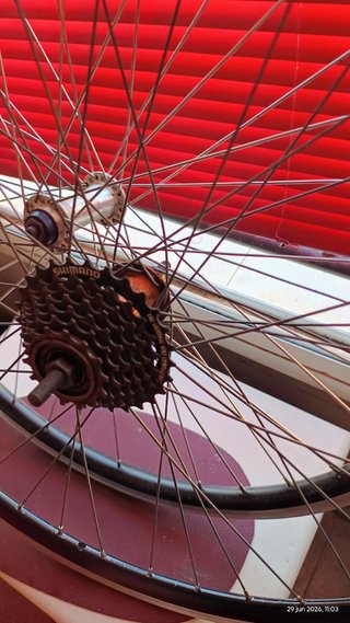 Ruote bici 28 doppie pareti
