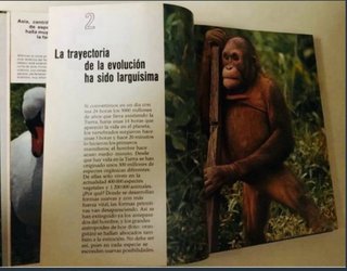 Libro Animales