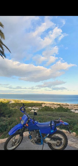 Yamaha TT250R Enduro Azul