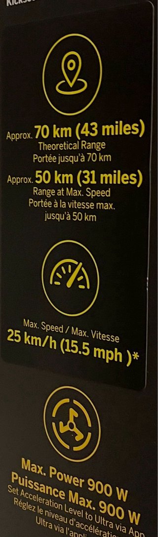 Patín Eléctrico Segway 900W