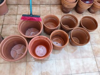 Macetas terracota y plástico