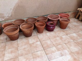 Macetas terracota y plástico