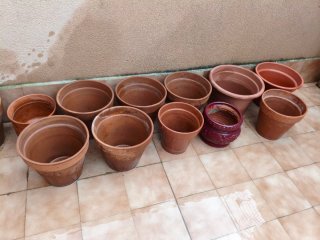 Macetas terracota y plástico