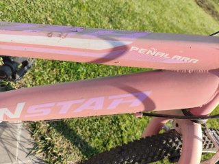 Bicicleta Infantil 24