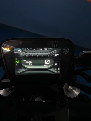 Yamaha MT-125 Naked Gris