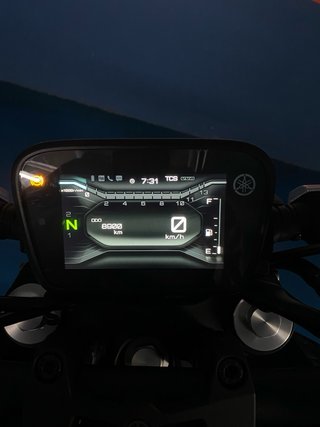 Yamaha MT-125 Naked Gris