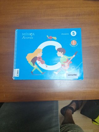 Música, 5 Primària Acords
