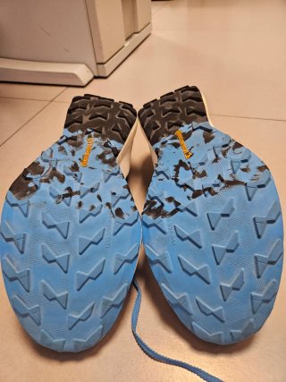 Adidas Terrex Speed 44