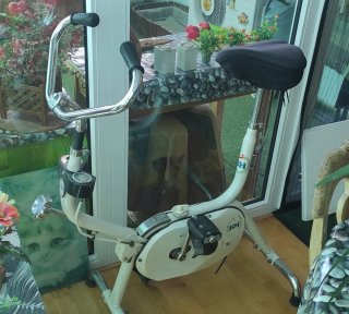 Bicicleta Estática BH