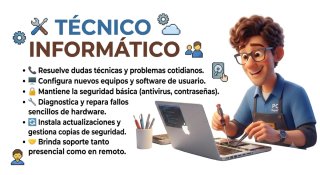 Técnico informático
