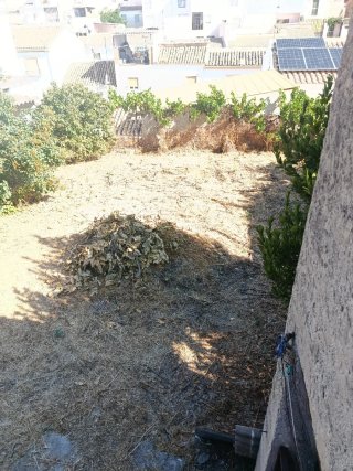 Casa con terreno