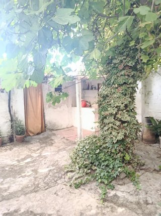 Casa con terreno