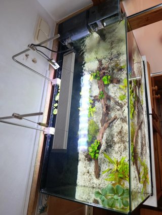 Acuario 100L Completo con mueble opcional.