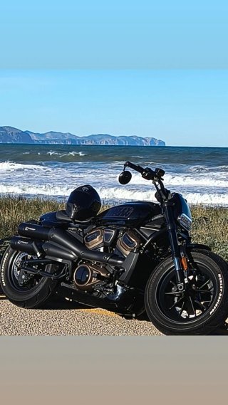 Harley Davidson Sportster S Negra