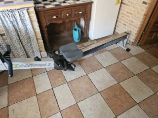 Máquina de remo profesional