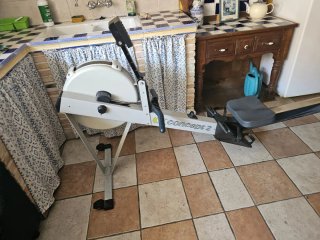 Máquina de remo profesional