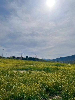 Solar en venta en Otura